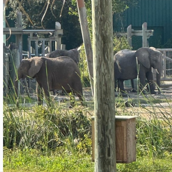 PLEASE READ⚠️ SWIFT TRAY $5 STARTS - Picture 6 of 6